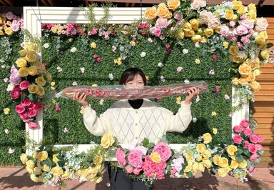 撮影例(ひらパーンとフォトスポット)