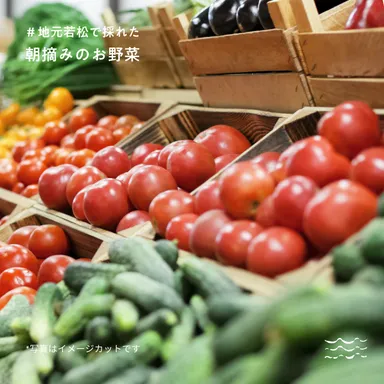 SIOIRI 青果売り場イメージ