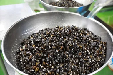 原材料のしじみ