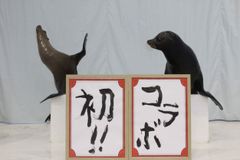 ※画像はイメージ