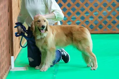 お散歩コーナー