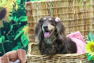 フォトスポット