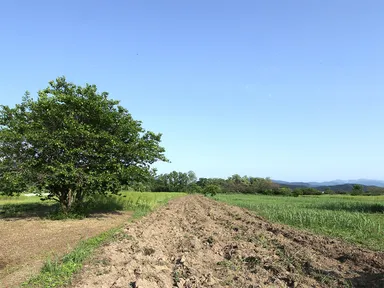 30年を費やして完成した完全無農薬の大地