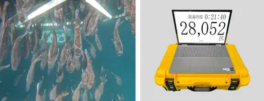 個体数計測イメージ（本システム画面イメージ）