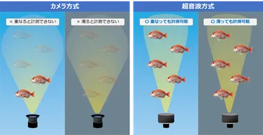 カメラと超音波の違い