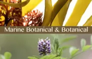 MarineBotanical＆Botanical