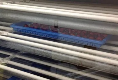 DIONYSOS干し葡萄工房