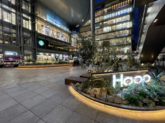 Hoop