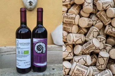 まるで濃厚なブドウジュース！