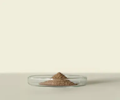 Houjicha(ほうじ茶)パウダー