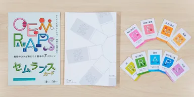 CEMRAPS CARD(セムラプス カード)