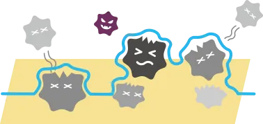 【ポリヘキサメチレンビグアナイド】は、カビや菌を包み込み無酸素状態にして除菌