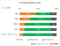 年末年始の具体的な予定