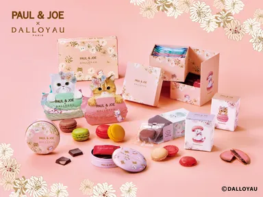 PAUL ＆ JOE × DALLOYAU　コラボ商品