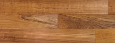 JT-005 チーク複合