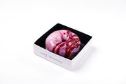 cafe_Galaxy Donut -Raspberry-