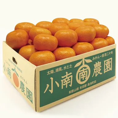 3位：有田みかん 3kg