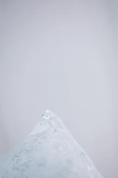 川内倫子《無題》(シリーズ〈M/E〉より) 2019