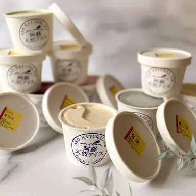 「阿蘇天然アイス」イメージ(3)