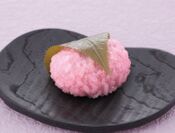 口福堂 桜餅