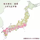 桜の開花・満開　4月5日予想
