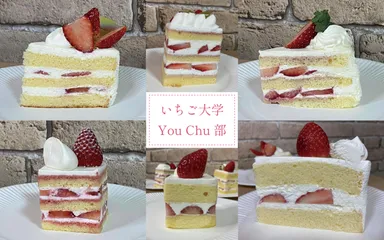 いちご大学You Chu部
