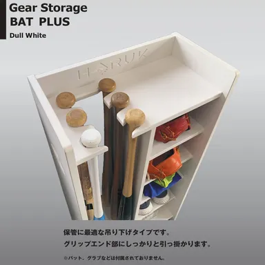 商品画像　Gear Storage BATPLUS WT4
