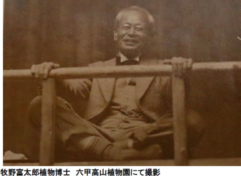 六甲高山植物園 開園90周年特別企画
『牧野の足あと ～神戸で見つける博士と植物～』
ROKKO森の音ミュージアム
『牧野富太郎のみちくさ～音楽、書、人々との交流～』
