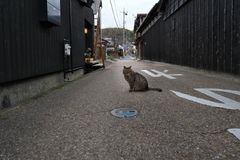 津山市城東地区風景(3)