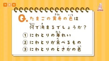 たまごクイズ