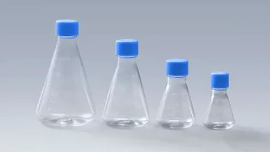 滅菌三角フラスコ