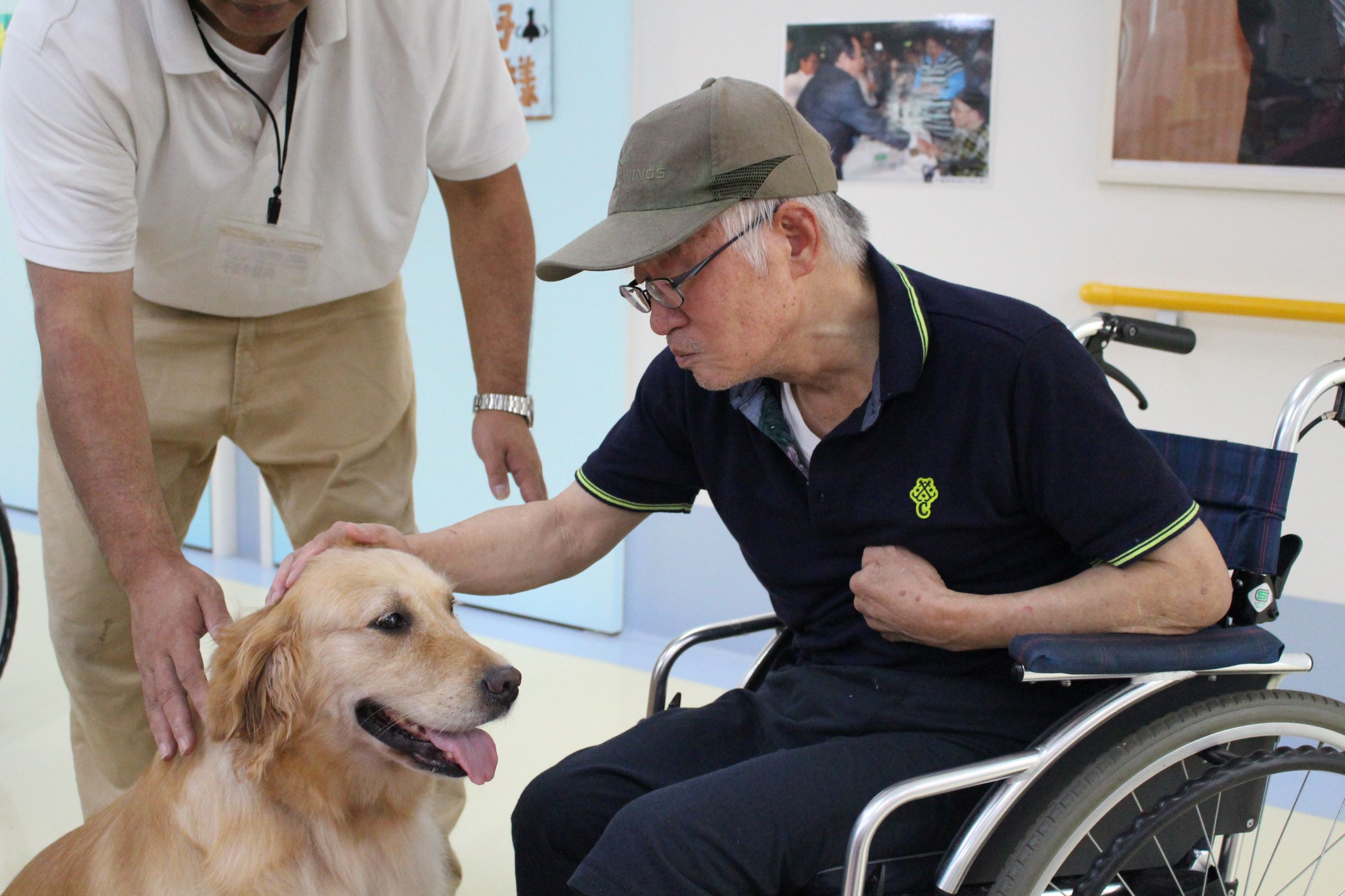 セラピー犬と泊まることができる家「るーちゃんち」 1月6日に