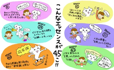 45個のエッセンス