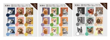 飾る場所に合うカラーを選択できる。