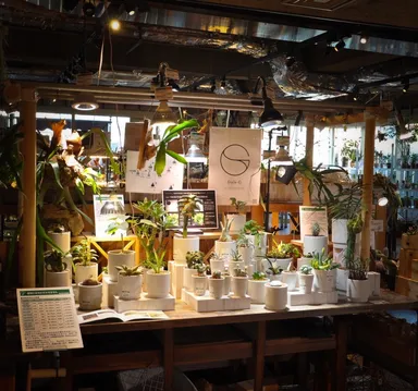 東急ハンズ渋谷店