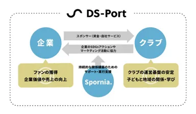 DS-Port