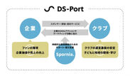 DS-Port