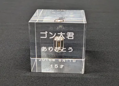 心晶動物用(エンジェル)