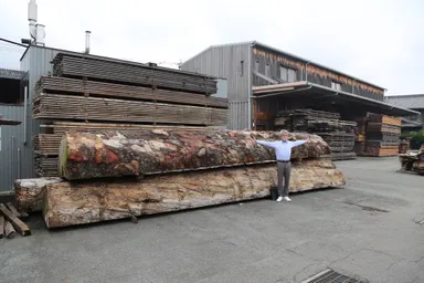 樹齢350〜400年のスプルース材