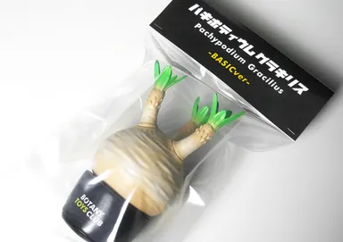 商品パッケージ