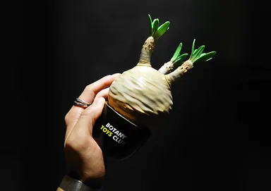 光の陰影で凹凸がより引き立ちます