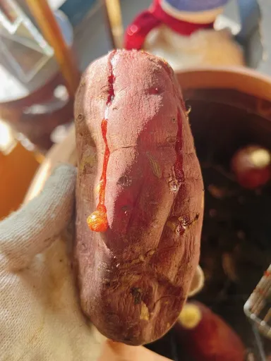 蜜たっぷりの焼き芋