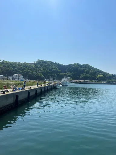 南知多町豊浜で釣りはいかがですか？