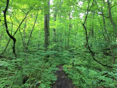 香りイメージ(2)