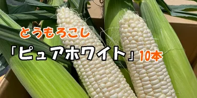 リターン「トウモロコシ」