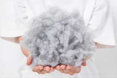 布団の中わた画像