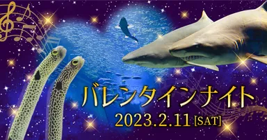 バレンタインナイトキービジュアル