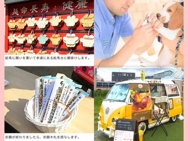 ペット健康祈願5