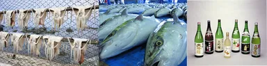 スルメイカ、スミイカ、ヤリイカなどが年間を通して獲れる〔写真左〕。佐渡の寒ブリ〔写真中央〕。佐渡の米と清らかな水から生まれる日本酒〔写真右〕