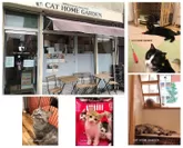 猫カフェ講演会　譲渡型保護猫カフェ CAT HOME GARDEN